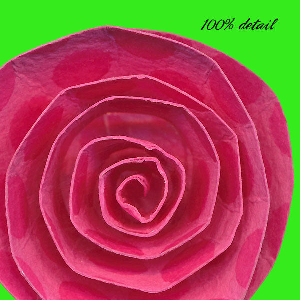 Rolled Paper Flowers, Volume 11