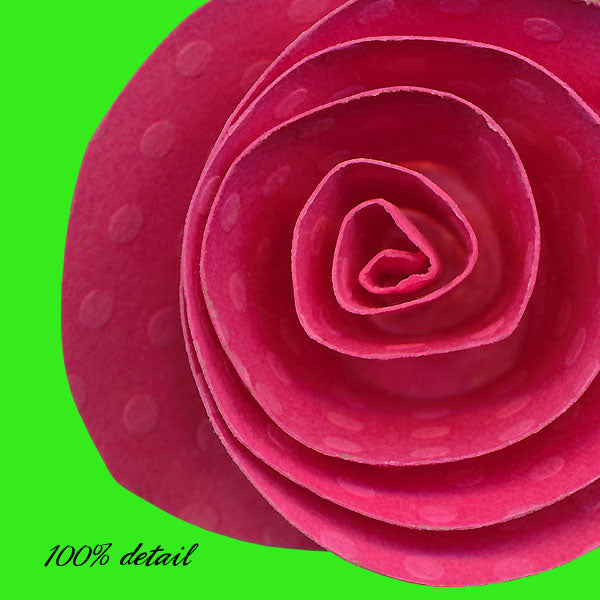 Rolled Paper Flowers, Volume 11