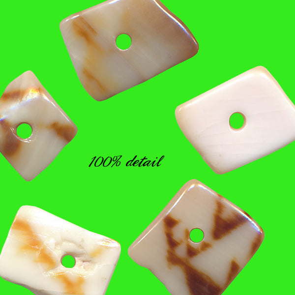 Shell Chips, Volume 02