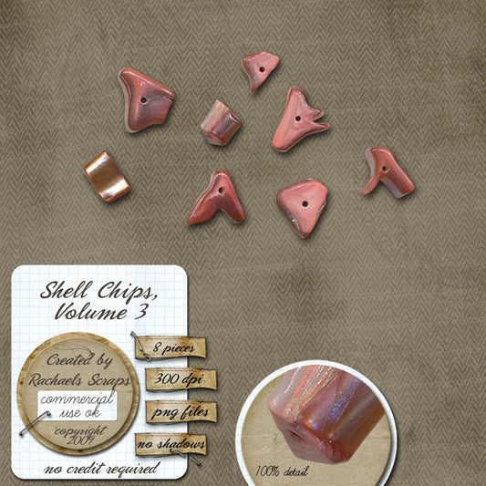 Shell Chips, Volume 03