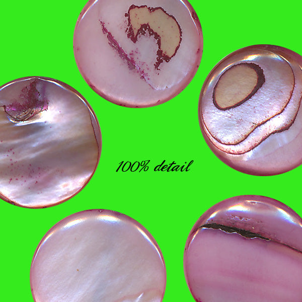 Shell Chips, Volume 04