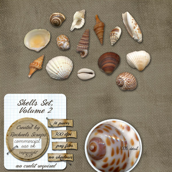 Shells Set, Volume 02