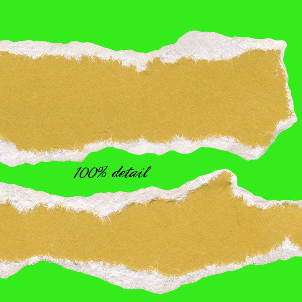 Torn Journal Strips Set