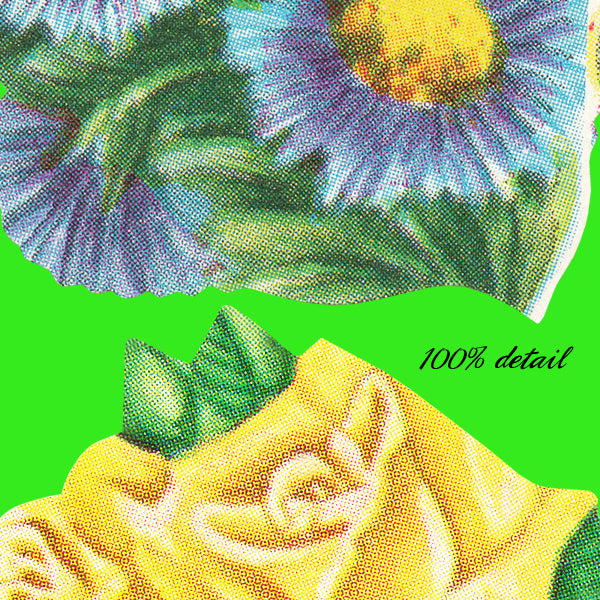 Vintage Ephemera Flowers