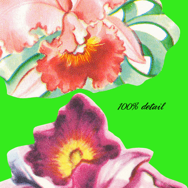 Vintage Ephemera Flowers