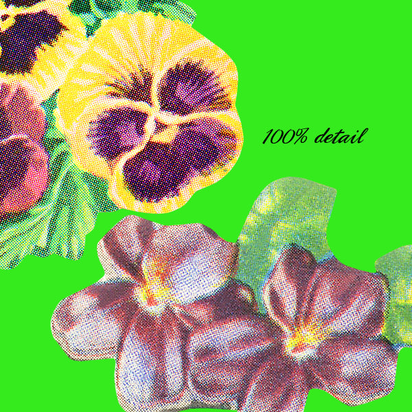 Vintage Ephemera Flowers