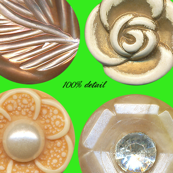 Vintage Buttons in Natural Colors