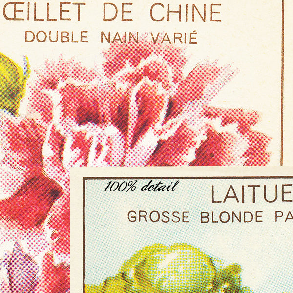 Vintage Seed Packets
