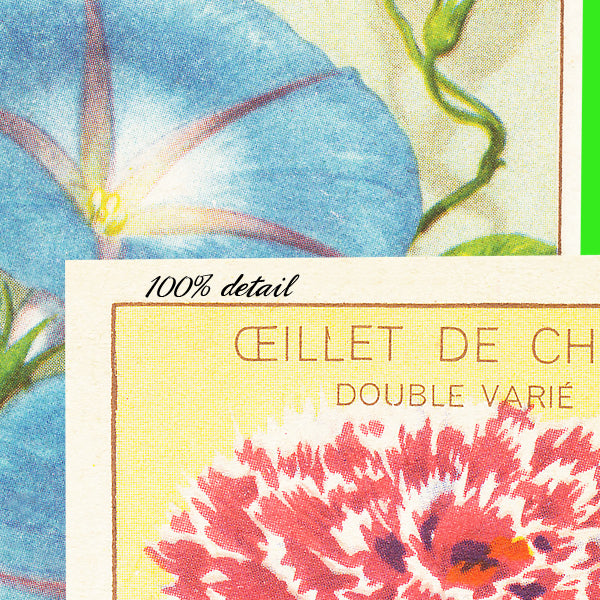 Vintage Seed Packets