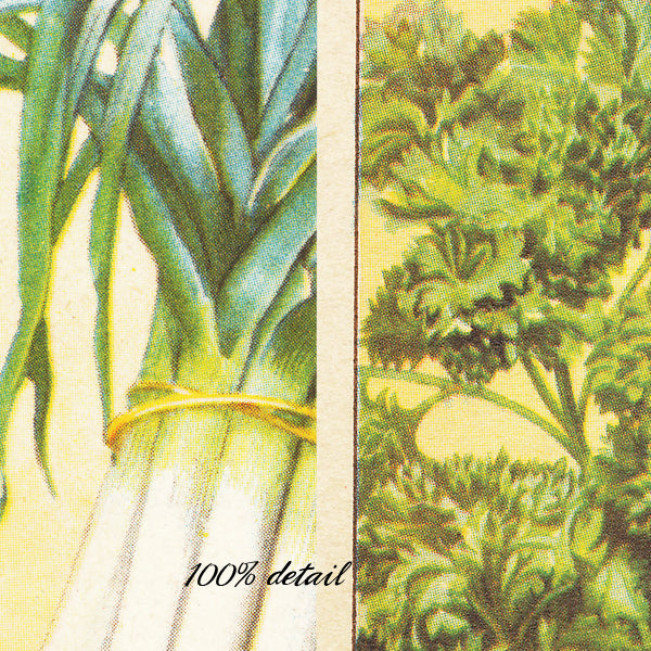 Vintage Seed Packets