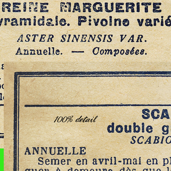 Vintage Seed Packets