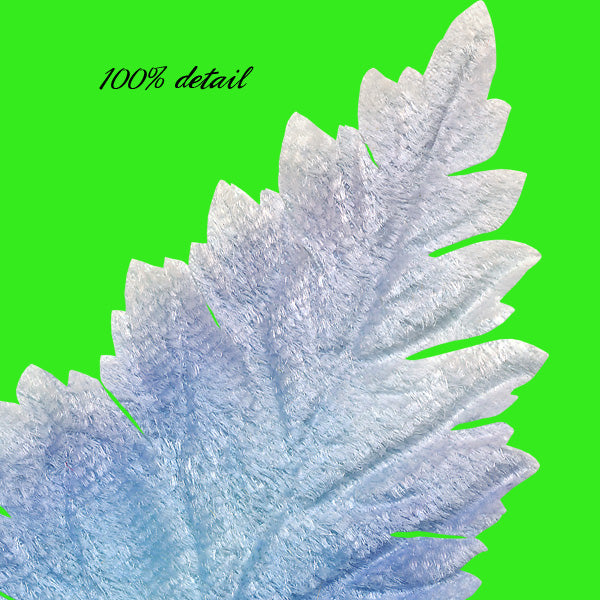 Vintage Velvet Leaves