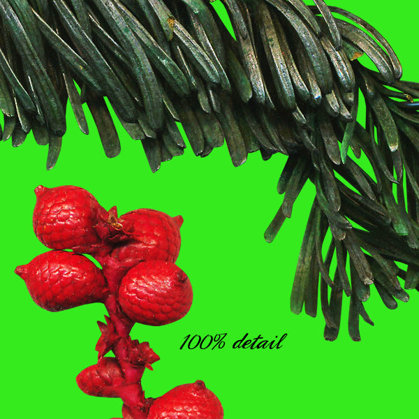 Warm Scents & Spices, Volume 02