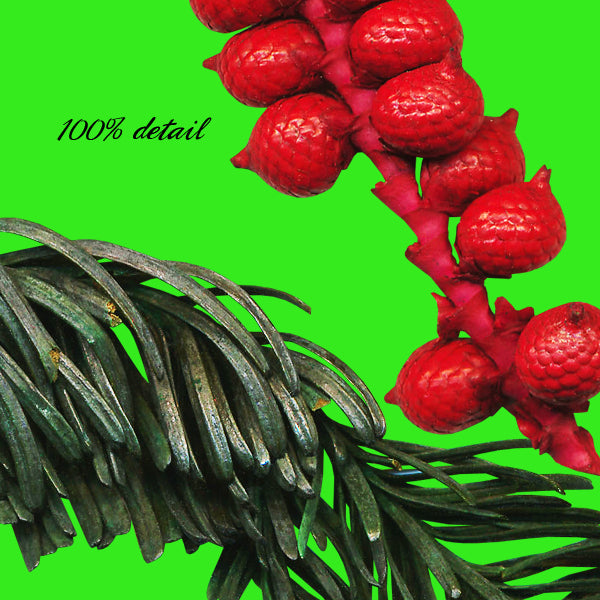 Warm Scents & Spices, Volume 02