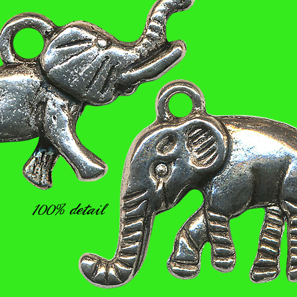 Wild Animal Charms