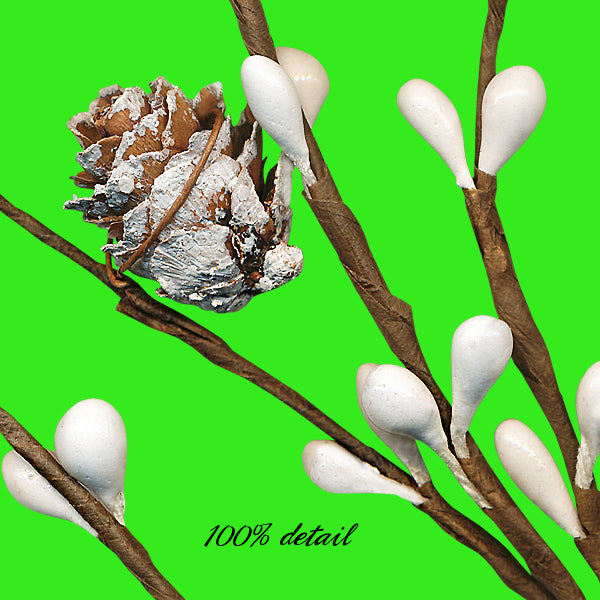 Winter Berry Branches