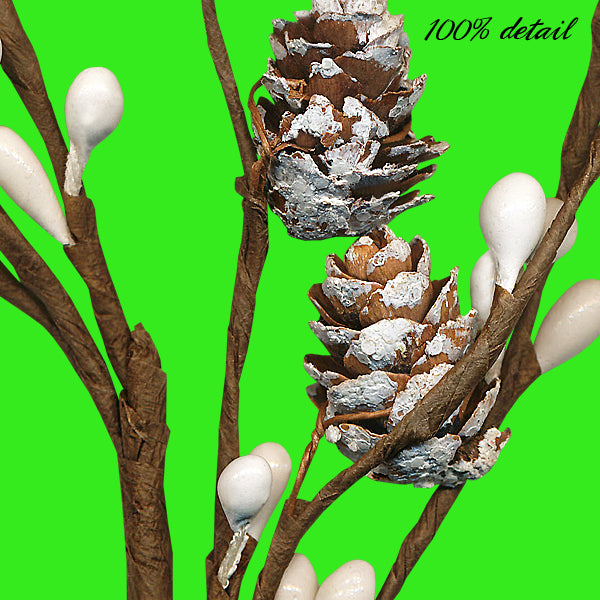 Winter Berry Branches