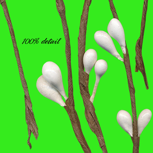 Winter Berry Branches