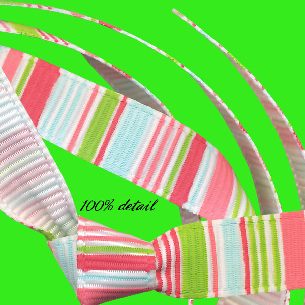 Watermelon Stripe Ribbons