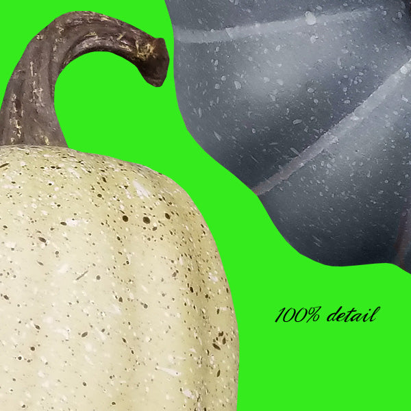 Realistic Pumpkins Set