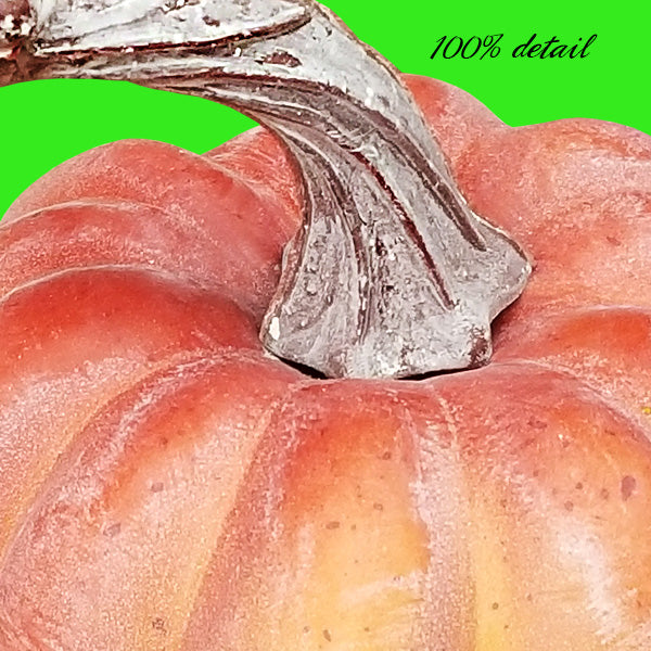 Realistic Pumpkins Set