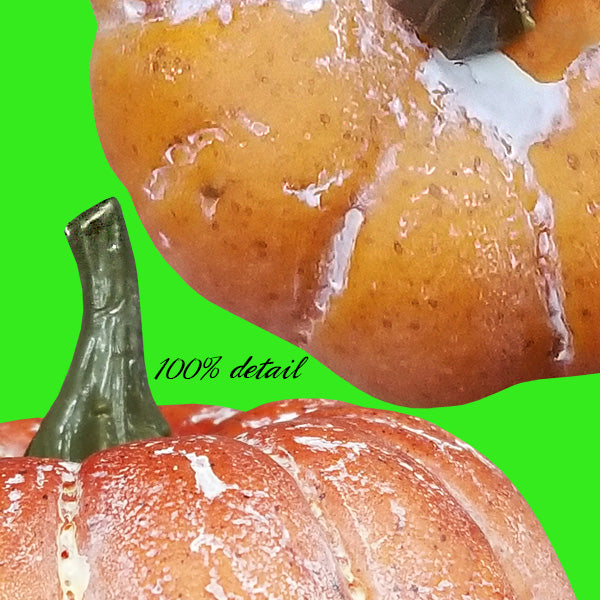 Realistic Pumpkins Set