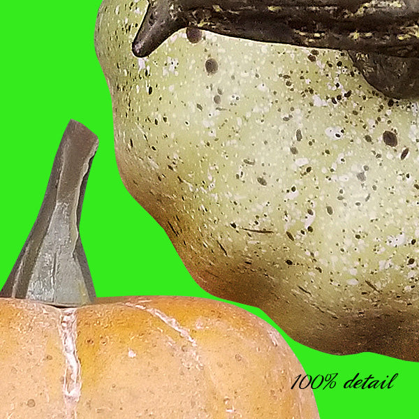 Realistic Pumpkins Set