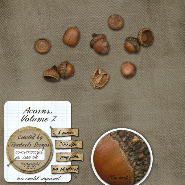 Acorns, Volume 02