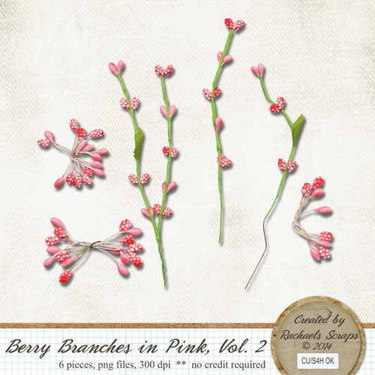 Berry Branches in Pink, Volume 02