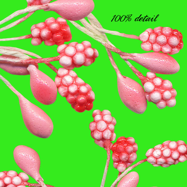 Berry Branches in Pink, Volume 02