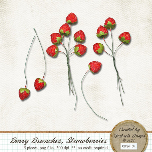 Berry Branches, Strawberries