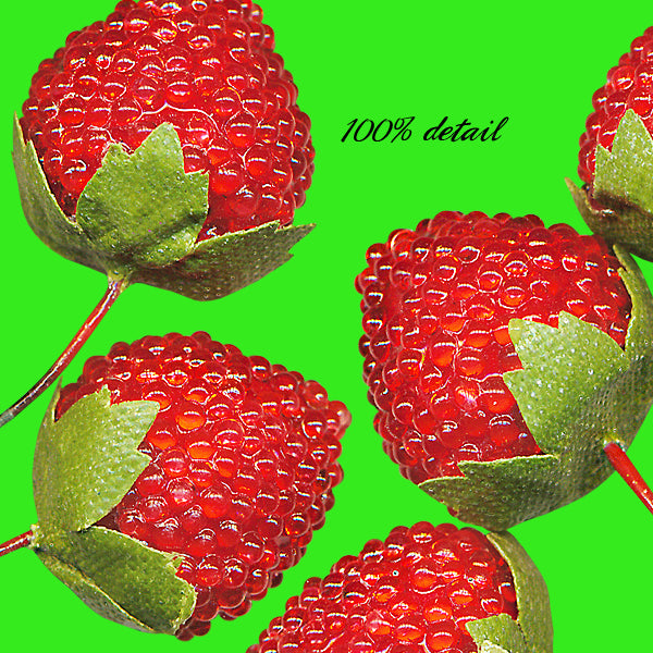 Berry Branches, Strawberries