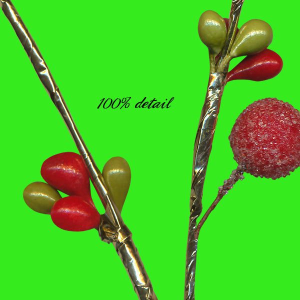 Berry Branches, Volume 10