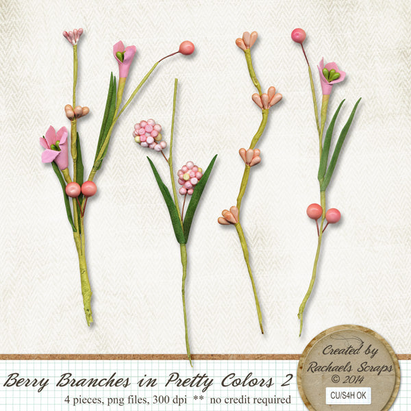 Berry Branches in Pretty Colors, Volume 02