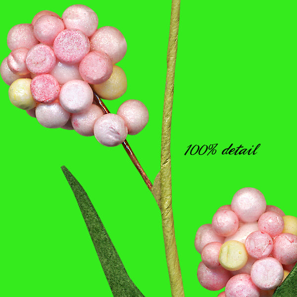 Berry Branches in Pretty Colors, Volume 02