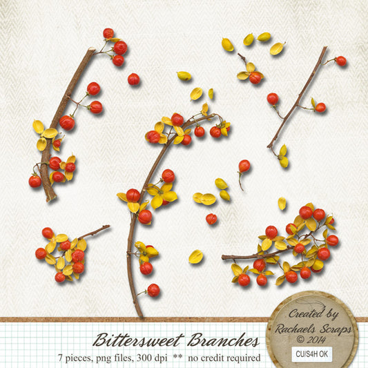 Bittersweet Branches, Volume 01