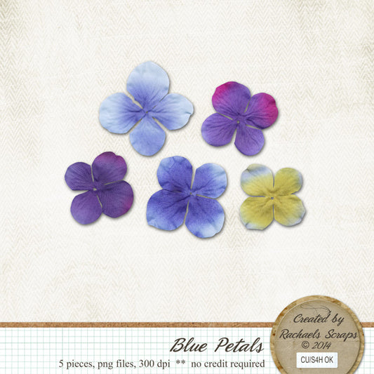 Blue Petals