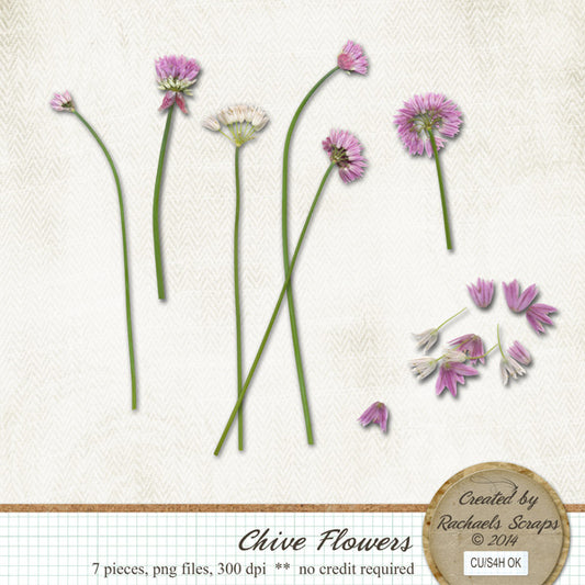 Chive Flowers Set