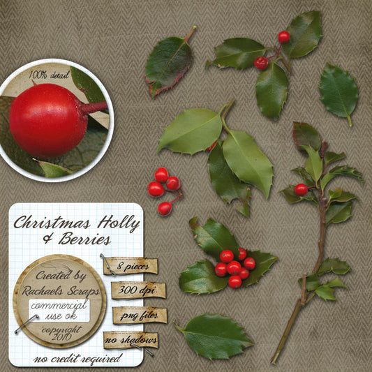 Christmas Holly & Berries