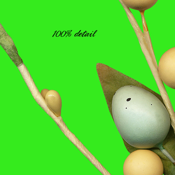 Easter Branches Set