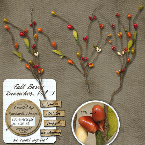 Fall Berry Branches, Volume 03