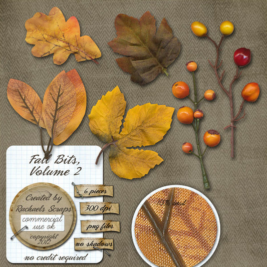 Fall Bits, Volume 02