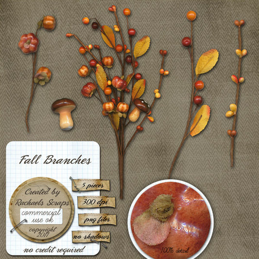 Fall Branches Set