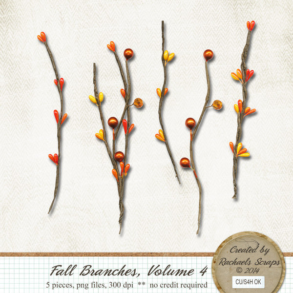 Fall Berry Branches, Volume 04