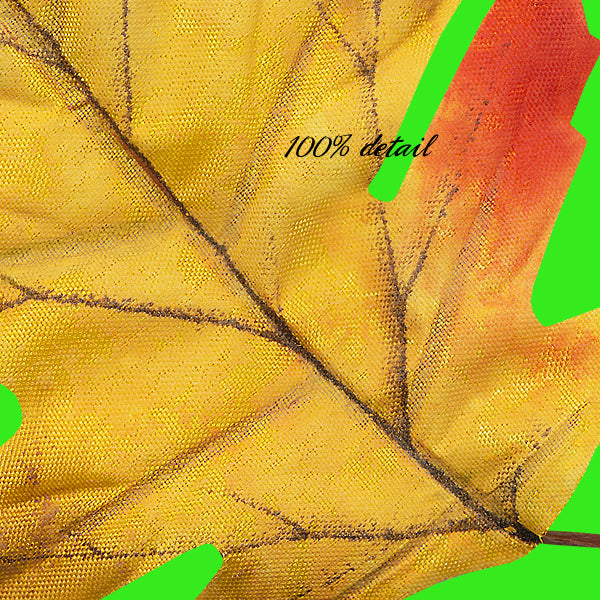 Fabric Fall Leaves, Volume 06