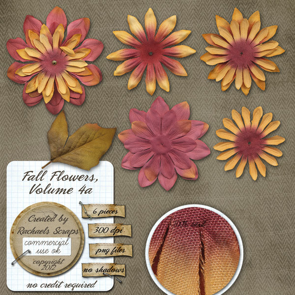 Fall Flowers, Volume 04a