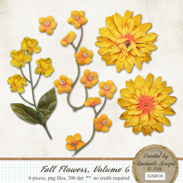 Fall Flowers, Volume 06