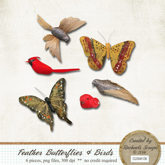 Feather Butterflies & Birds