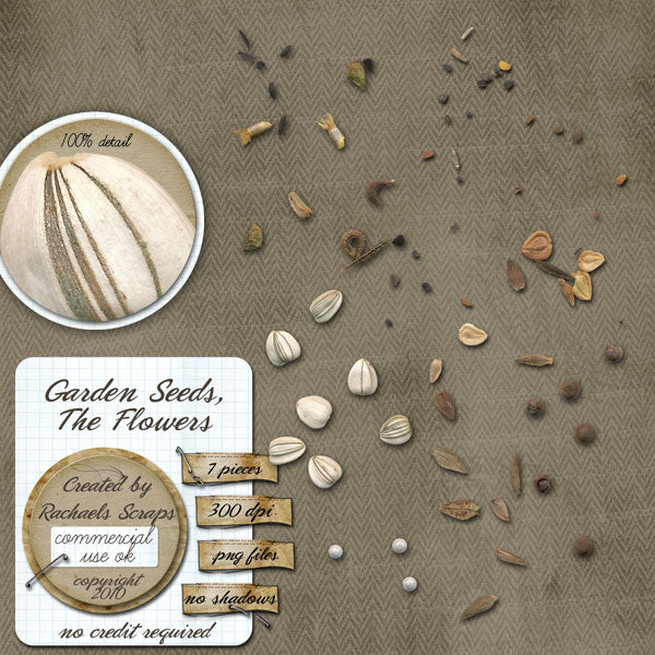 Garden Seeds, the Flowers