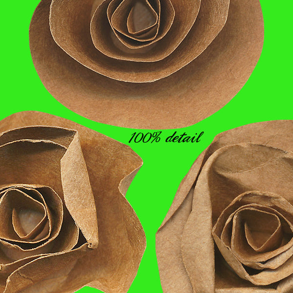 Kraft Paper Flowers